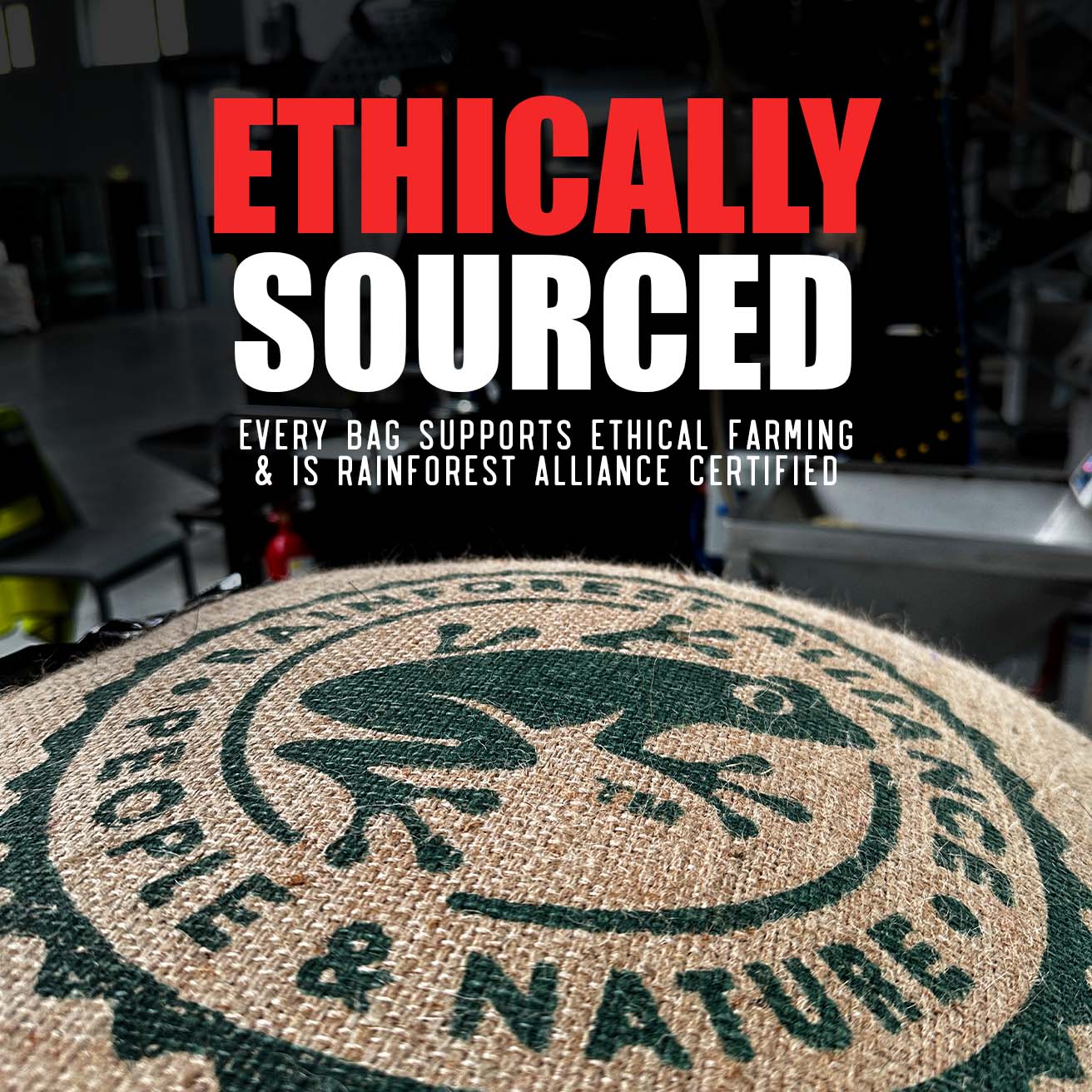 Skull Crusher High-Caffeine Ground Coffee – French Vanilla